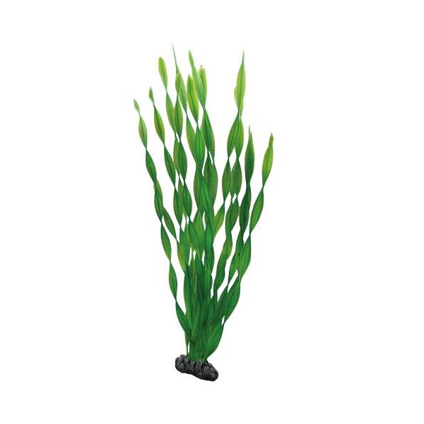 Hobby Plastik Pflanzen Vallisnera 46cm - Natürliche Schönheit für Ihr Aquarium