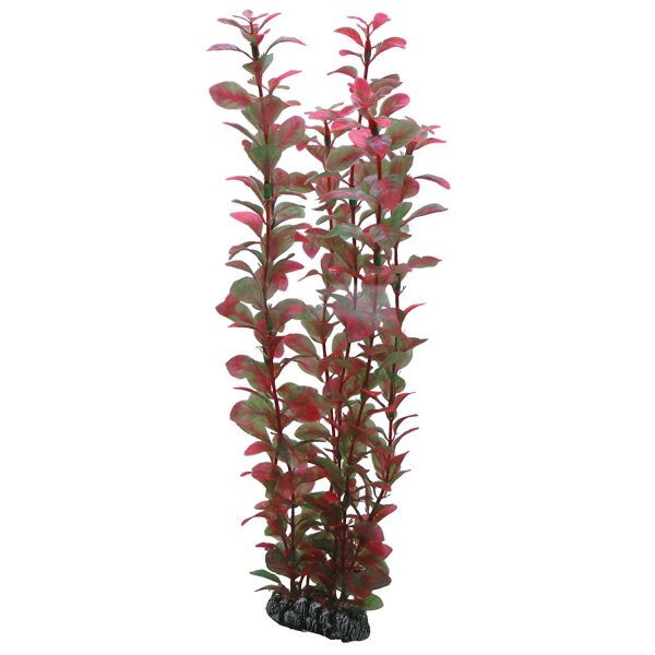 Hobby Plastik Pflanzen Ludwigia 34cm - Naturgetreu für Ihr Aquarium