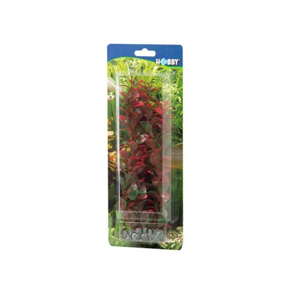 Hobby Plastik Pflanzen Ludwigia 34cm - Naturgetreu für Ihr Aquarium