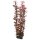 Hobby Plastik Pflanzen Ludwigia 34cm - Naturgetreu für Ihr Aquarium