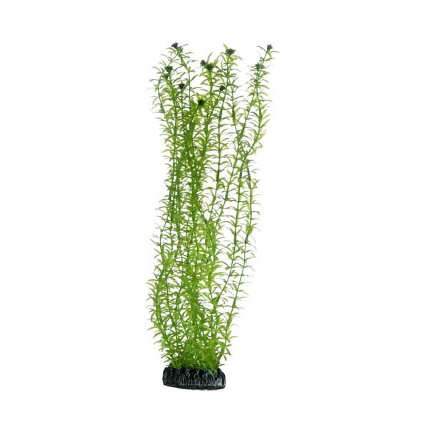 Hobby - Dohse Aquaristik GmbH & Co. KG Plastik Pflanzen Lagarosiphon 34cm
