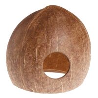 Hobby Aqua Cave M - Die perfekte Versteckmöglichkeit...