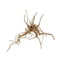 Hobby Fingerwood S 20-30cm - Natur im Aquarium