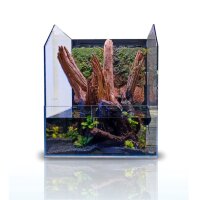 BLAU Paludarium Cubic Selva 45 Set 45x45x20/55cm