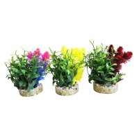Sydeco Magic Nano Garden 10cm - Dein kleiner grüner...