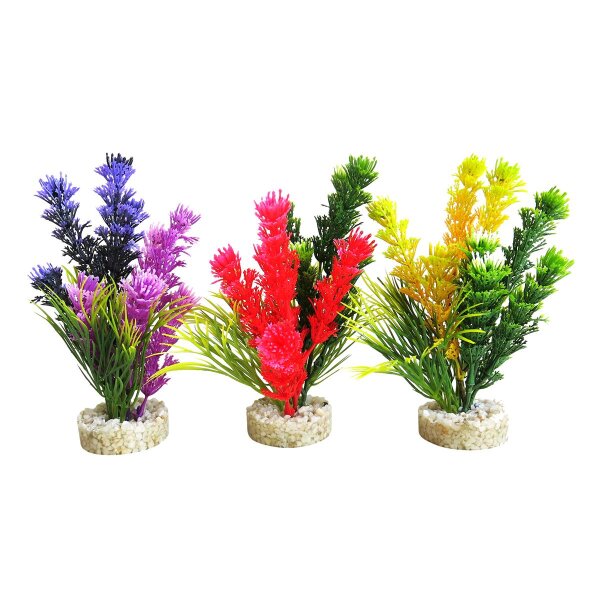 Sydeco Magic Fiesta Colours 16cm - Farbenprächtige Freude