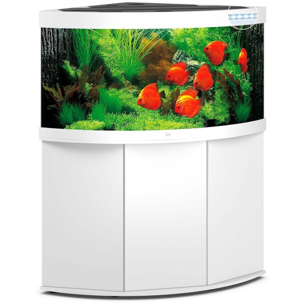 Juwel Kombi Trigon 350 LED Weiß - Dein perfektes Aquarium