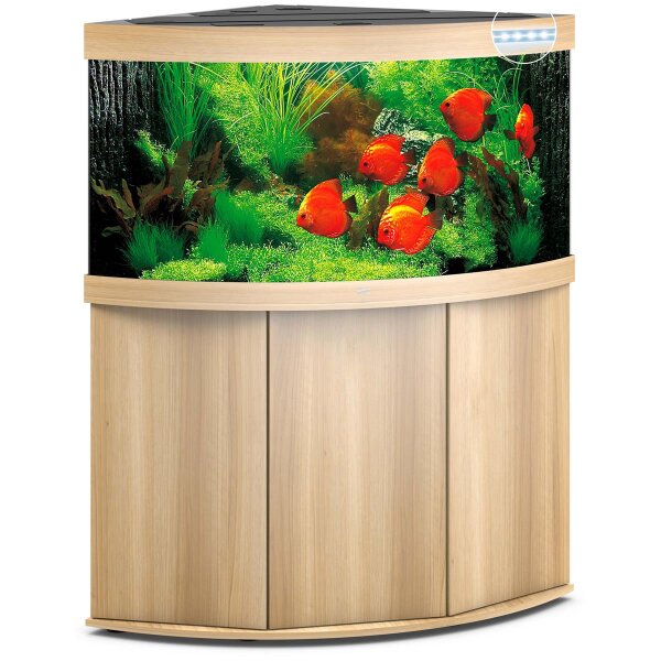 Juwel Kombi Trigon 350 LED - Ihr Traumfischbecken aus hellem Holz
