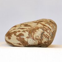 Aquadeco Meyer +PS 163-M Shodo Stein - Naturgetreu...