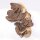 PH 004-S Mopani Holz S - Aquadeco Meyer