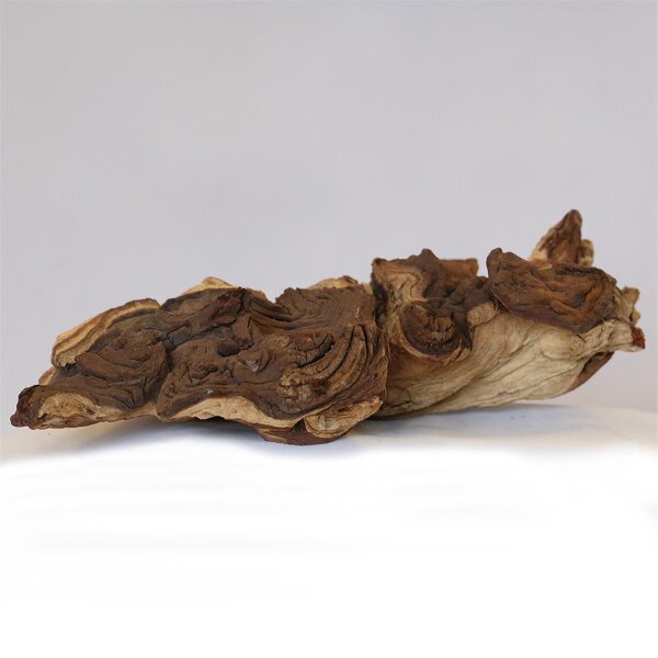 PH 004-M Mopani Holz von Aquadeco Meyer - Natur pur für Ihren Aquarium