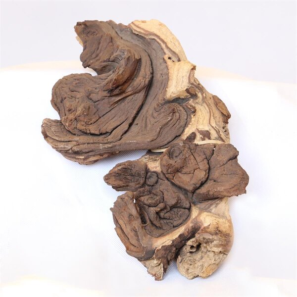 PH 004-M Mopani Holz von Aquadeco Meyer - Natur pur für Ihren Aquarium