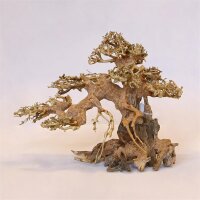 PH 067 Aqua Bonsai L von Aquadeco Meyer - Schönheit...