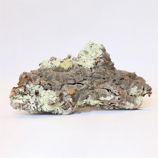 PH 020-S Korkröhre M (S) von Aquadeco Meyer - Naturbelassen und robust