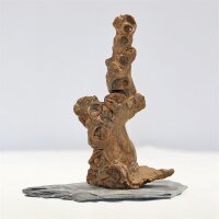 Aquadeco Meyer +PH 078 Kongo Baum M ca.35cm - Dekoratives...
