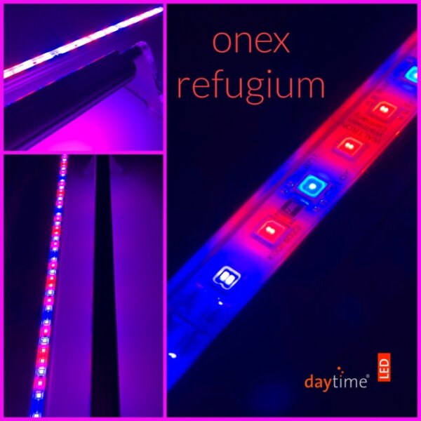 DAYTIME Beleuchtung Onex 150 Plant 45,6W