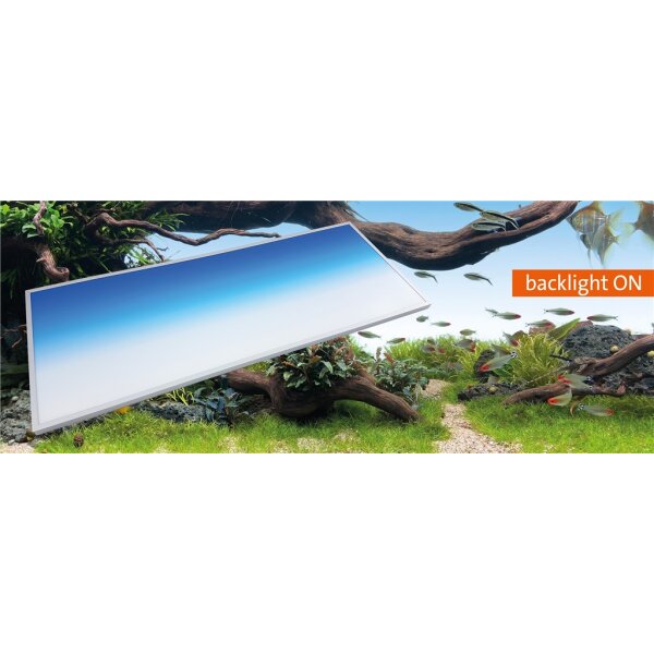 DAYTIME Beleuchtung Backlight Pool 100x50 38W