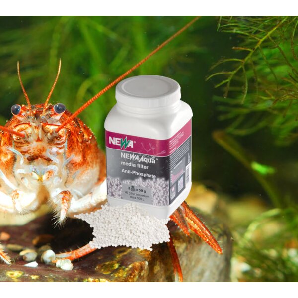 Newa Anti Phosphate 100g - Effektives Wasserbehandlungsprodukt