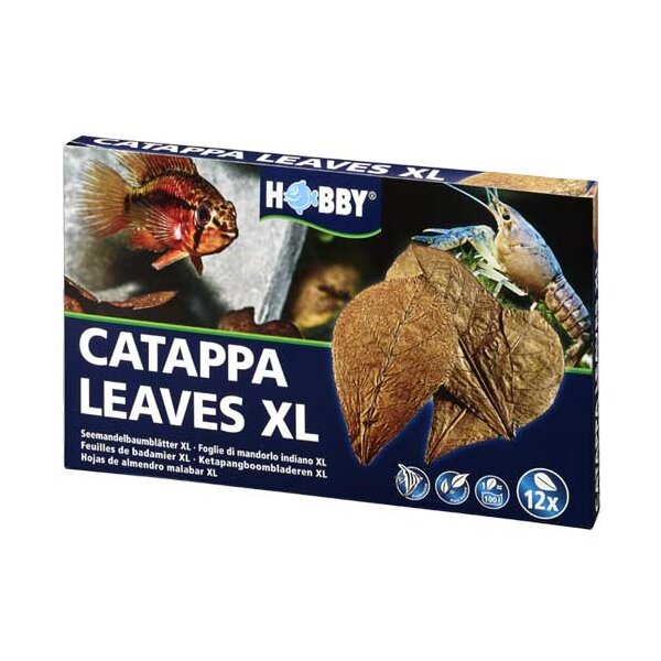 Hobby Catappa Leaves XL - Natürliche Wasserreinigung für Aquarien