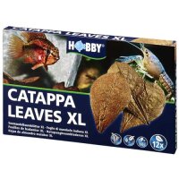 Hobby Catappa Leaves XL - Natürliche Wasserreinigung...