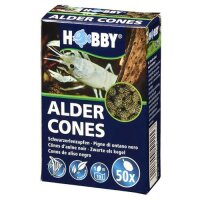 Hobby Alder Cones 50Stück - Naturbelassene...