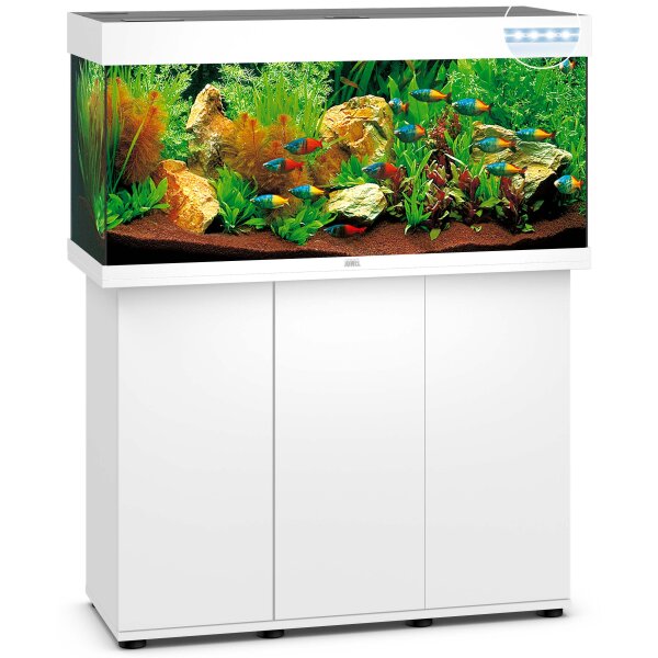 Juwel Kombi Rio 180 LED Weiß - Dein perfektes Aquarium