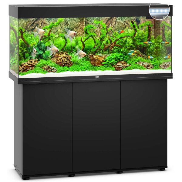 Juwel Kombi Rio 240 LED schwarz - Styling und Technik für Ihr Aquarium