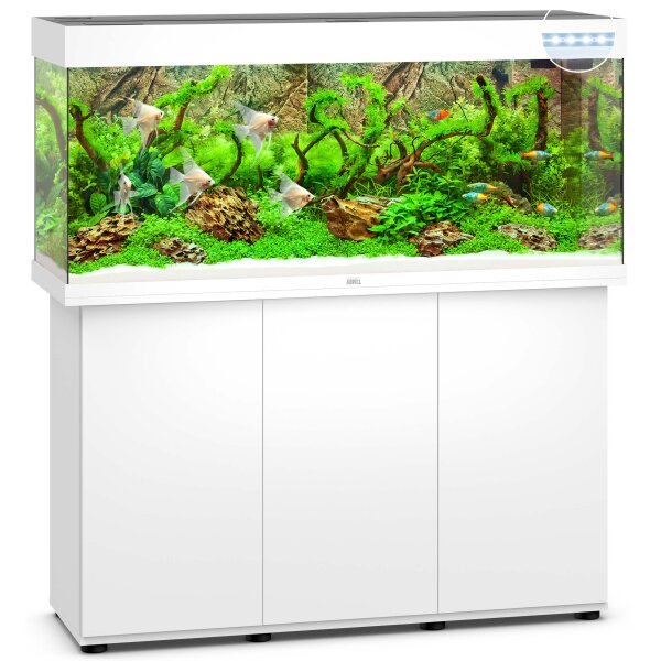 Juwel Kombi Rio 240 LED Weiß - Ihr perfektes Aquarium-Zuhause