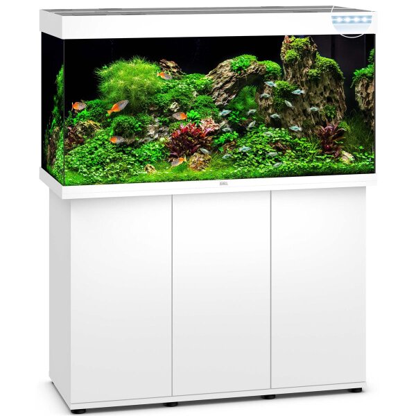 Juwel Kombi Rio 350 LED Weiß - Ihr perfektes Aquarium
