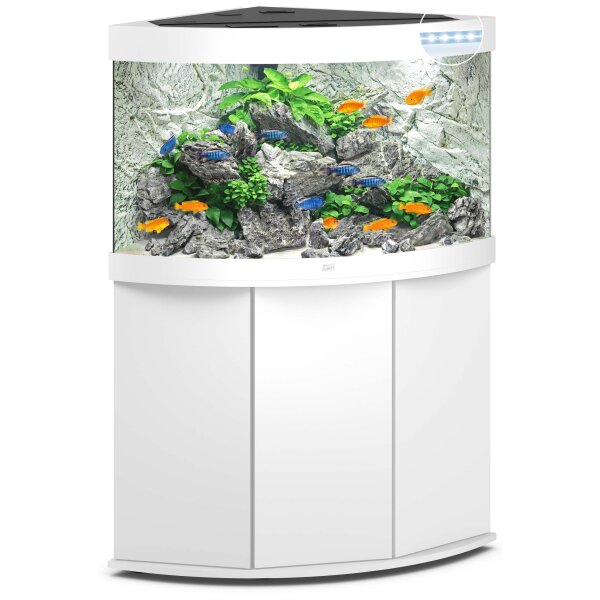 Juwel Kombi Trigon 190 LED Weiß - Dein perfektes Aquarium