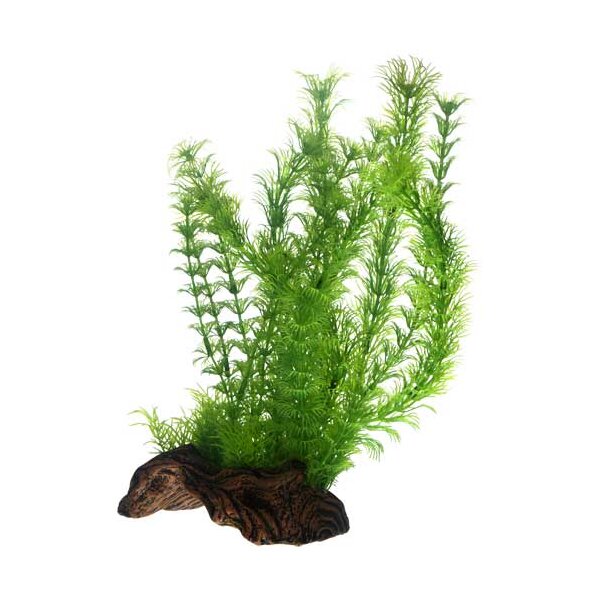 Hobby Flora Root 3 -L- 30cm - Ihre optimale Pflanzenlösung