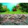Juwel Aquariumrückwand Poster 1 =XL= Pflanze/Stein - 150 x 60 cm