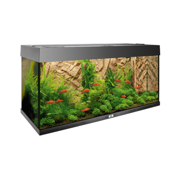 Juwel Motivrückwand Stone Clay - Naturgetreue Felsstruktur für Ihr Aquarium
