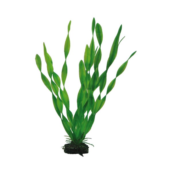 Hobby Plantasy Set 4 - Dein Aquarienparadies
