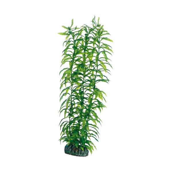 Hobby Plantasy Set 4 - Dein Aquarienparadies