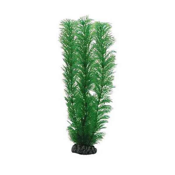 Hobby Plantasy Set 4 - Dein Aquarienparadies