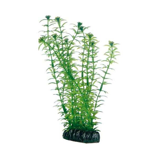 Hobby Plantasy Set 4 - Dein Aquarienparadies