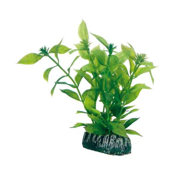 Hobby Plantasy Set 4 - Dein Aquarienparadies