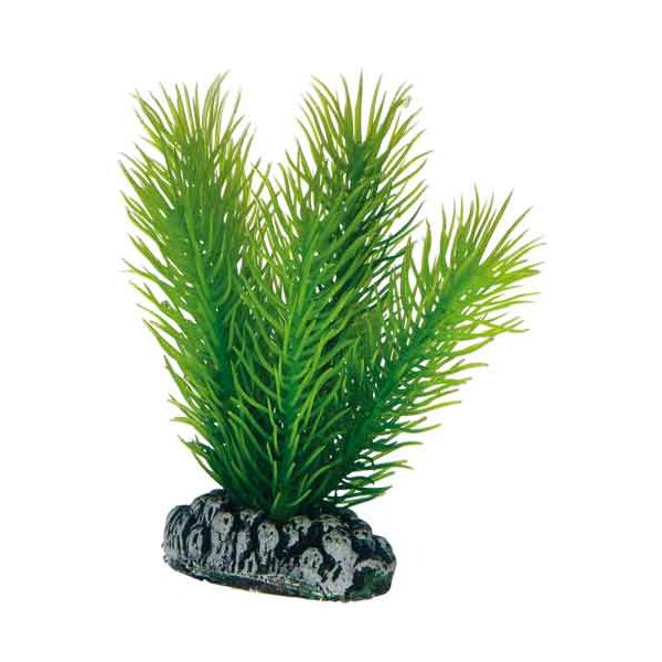 Hobby Plantasy Set 4 - Dein Aquarienparadies