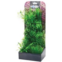 Hobby Plantasy Set 4 - Dein Aquarienparadies