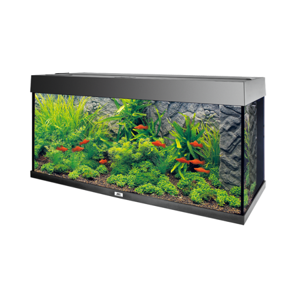 Juwel Motivrückwand Stone Granite - Naturgetreue Dekoration für Ihr Aquarium