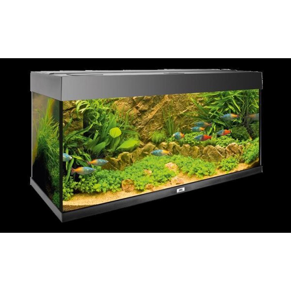 Juwel Motivrückwand Cliff Dark - Naturgetreue Felsstruktur für Ihr Aquarium
