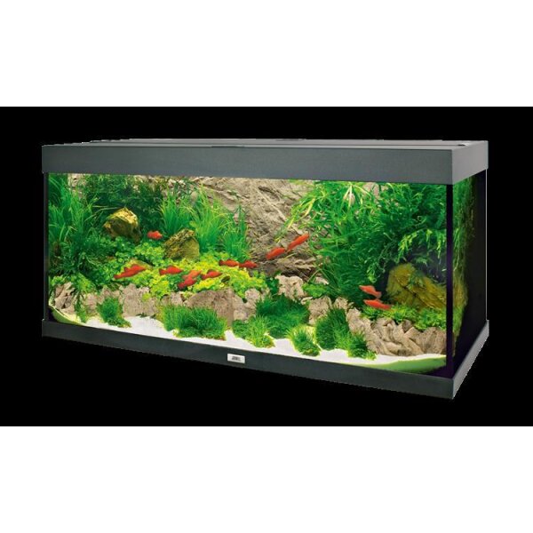 Juwel Motivrückwand Cliff Light - Naturgetreu & tiefenreich