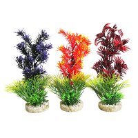 Sydeco Aquaplant Color medium - Naturbelassene...