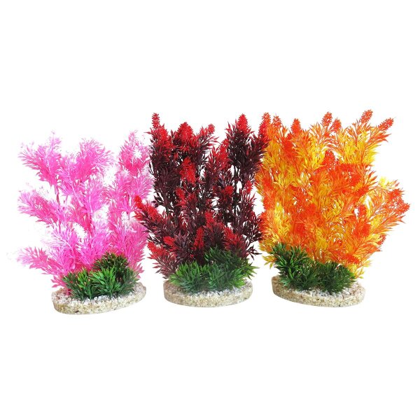Sydeco Aquaplant Color Hedge - Dein Farbenfroher Grünstreifen