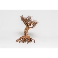 PH 063-M Mammut Bonsai -M- von Aquadeco Meyer