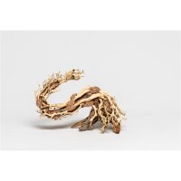 PH 064-S Drachen Bonsai -S- von Aquadeco Meyer