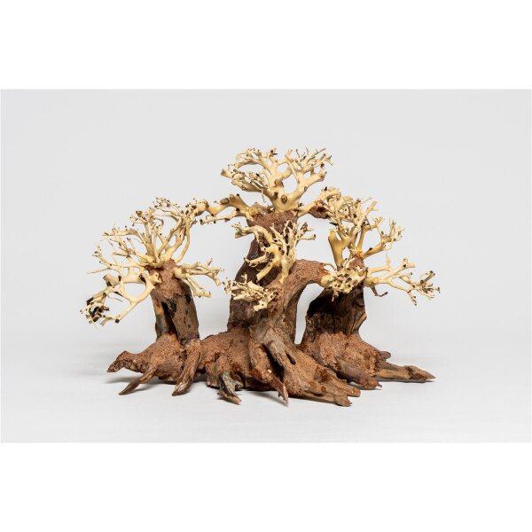 PH 069-S Wald Bonsai von Aquadeco Meyer - Natur in Miniatur