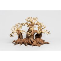 PH 069-S Wald Bonsai von Aquadeco Meyer - Natur in Miniatur