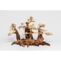 PH 069-M Wald Bonsai von Aquadeco Meyer - Natur im...